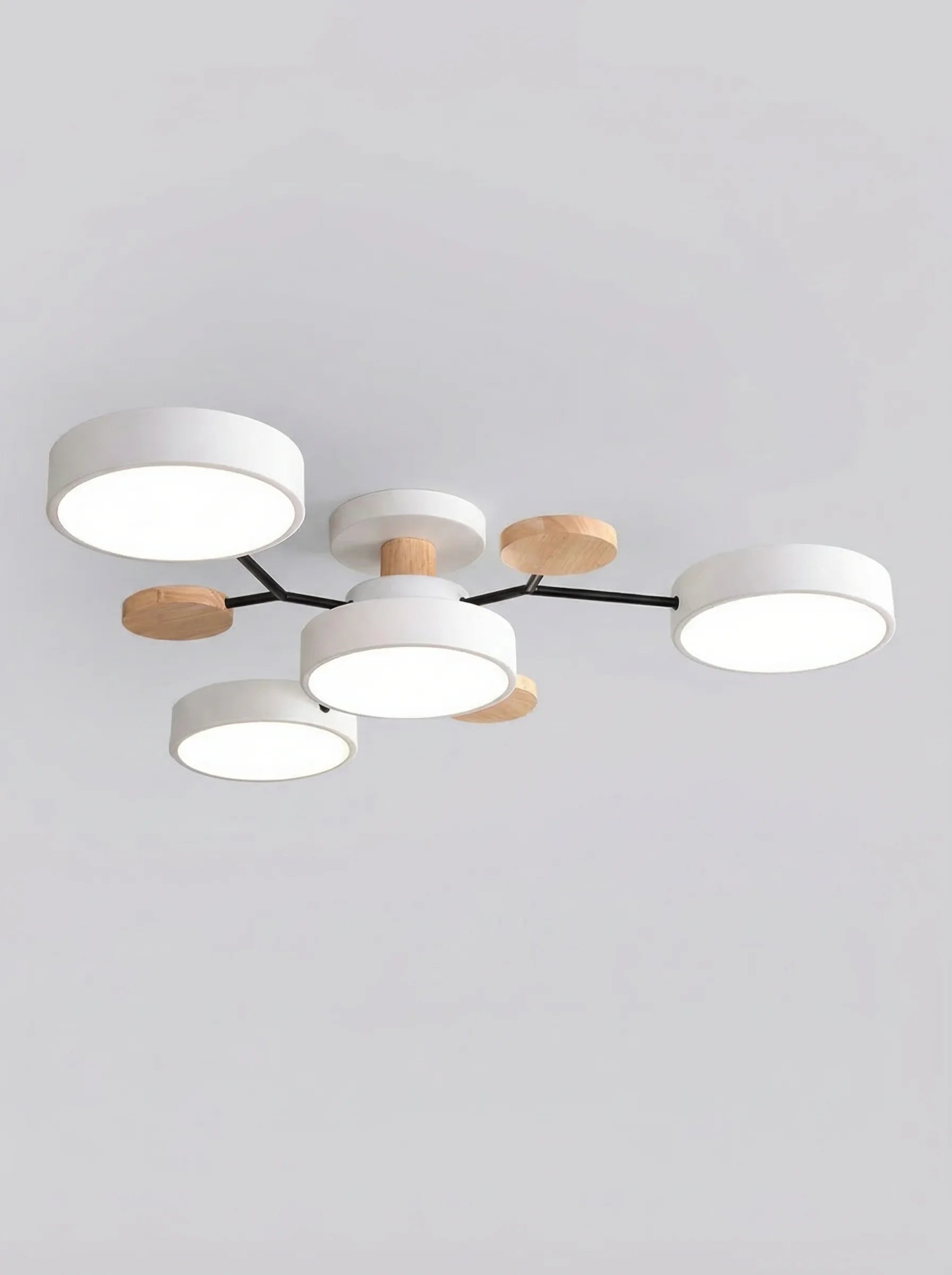 Lámpara De Techo LED Moderna Para Salón | Plafón Circular Moderno-Ceiling Light-SeemSeem