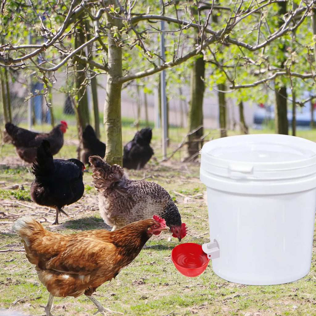 Bebedero Automático Para Gallinas | Llenado Automático · SeemSeem